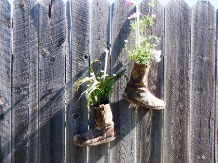 Sally's fence